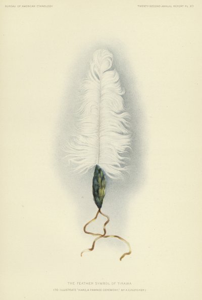 The feather symbol of Tirawa by American School
