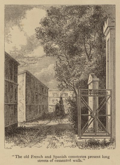 The old French and Spanish cemeteries present long streets of cemented walls by American School