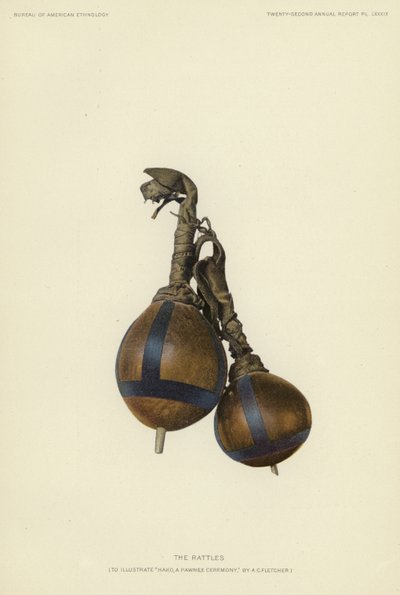 The Rattles by American School