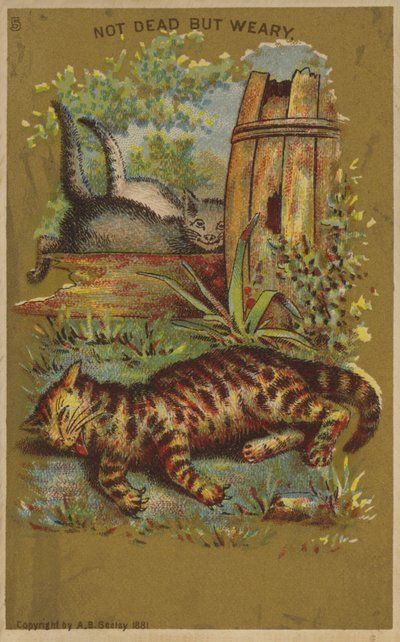 Three Weary Cats by American School