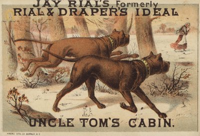 Two Dogs in Woods by American School