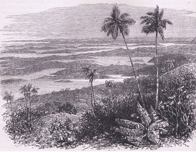 View of the Bermudas, illustration from Cassell