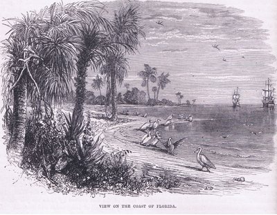 View of the coast of Florida, illustration from Cassell