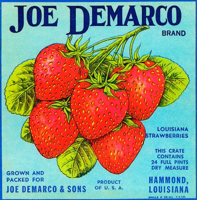 Vintage Strawberries Fruit Crate Label by American School
