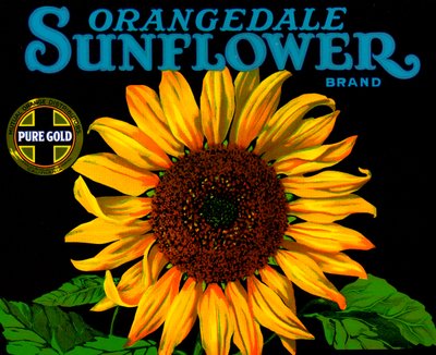 Vintage Sunflower Fruit Crate Label by American School