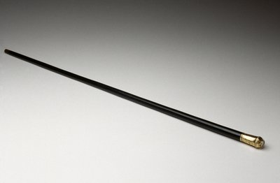 Walking Stick by American School