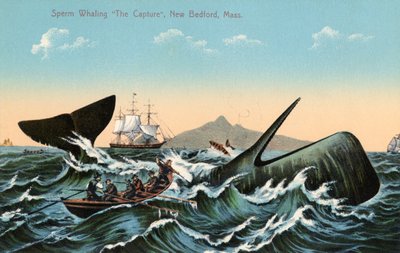 Whalers Harpooning a Sperm Whale Off New Bedford, Massachusetts by American School