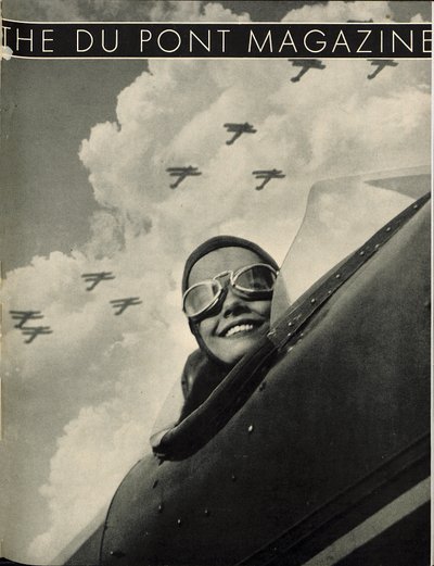 Wings Aloft by American School