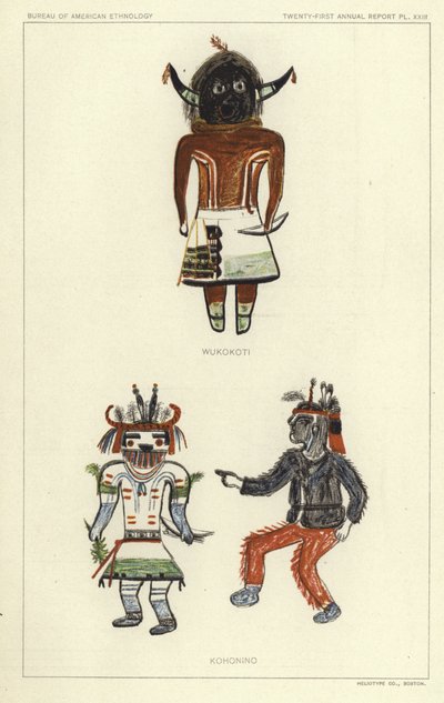 Wukokoti, Kohonino by American School