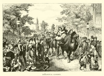 Zoological Garden by American School