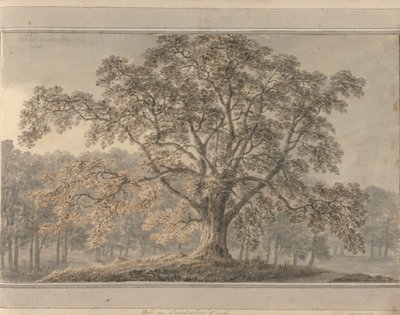Ash in Londesbro Park, May 1800 by Amos Green