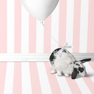 Bunnies 04, 2018 by Ana Carolina Tavares Mizrahi