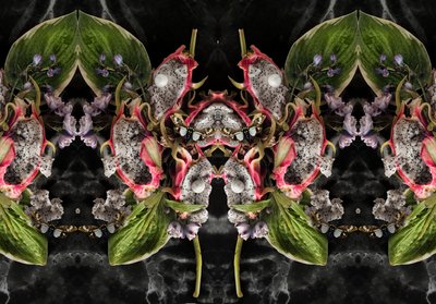 Eve_01, 2016 by Ana Carolina Tavares Mizrahi