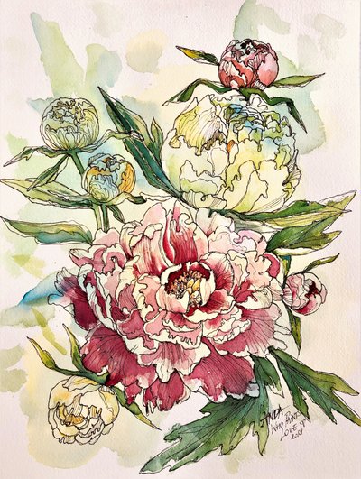 Blooming Peony Garden by Anda Bieza