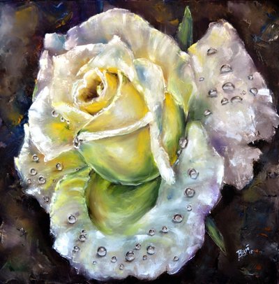 Fresh Dewy Rose by Anda Bieza