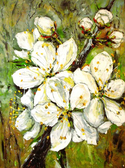Spring White Blossoms by Anda Bieza