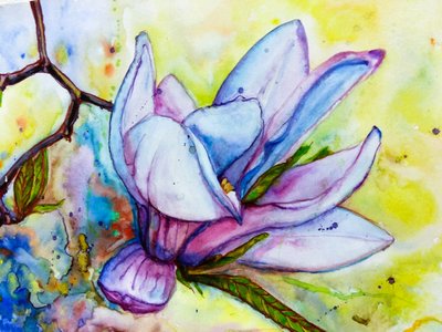 Vibrant Magnolia Bloom by Anda Bieza