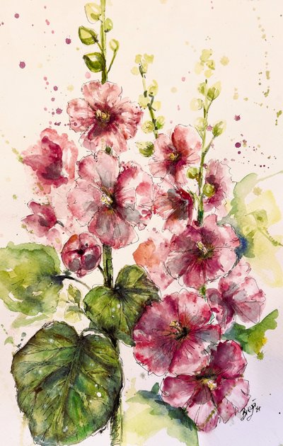 Vibrant Pink Hollyhocks by Anda Bieza