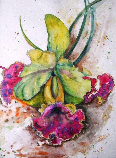 Vibrant Watercolor Orchid by Anda Bieza