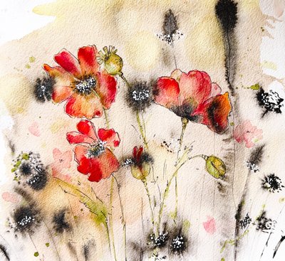 Wild Poppy Watercolor by Anda Bieza