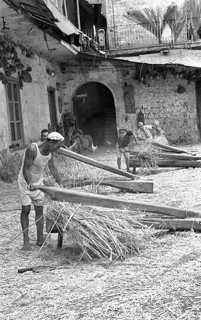 Hemp Processing, Crushing by Ando Gilardi