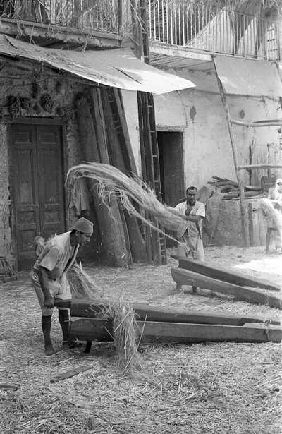 Hemp Processing, Stretching and Rolling by Ando Gilardi