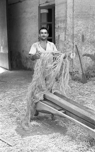 Hemp Processing, the Maciullatore by Ando Gilardi