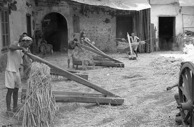 Hemp Processing, the Paranza in Action by Ando Gilardi