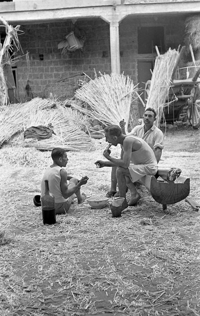 Hemp Processing, Breakfast at Work by Ando Gilardi