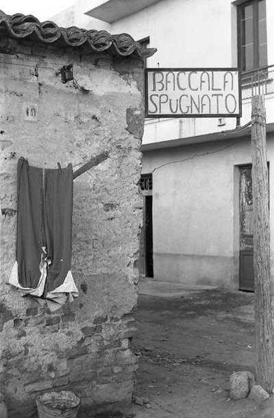  by Ando Gilardi