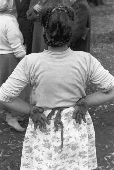 Young Olive Picker by Ando Gilardi