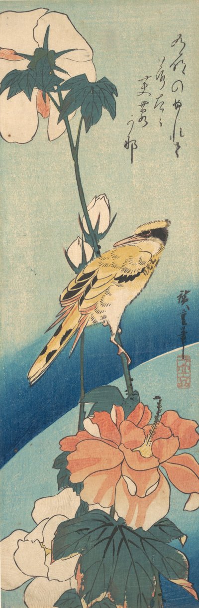 A Black-Naped Oriole on a Stem of Rose Mallow by Ando Hiroshige