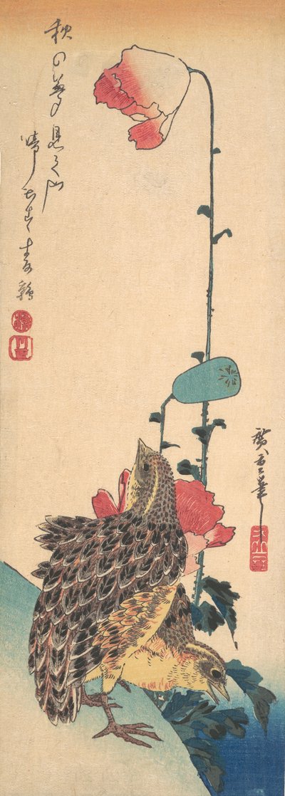 A Pair of Quails and Poppies, ca. 1835 by Ando Hiroshige