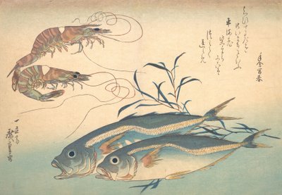 Aji Fish and Kuruma-ebi, from the series Every Variety of Fish, 1830s by Ando Hiroshige