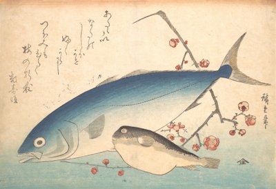 Fugu and Inada Fish, from the Series Every Variety of Fish by Ando Hiroshige