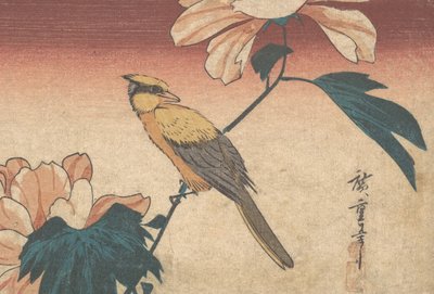 Hibiscus Mutabilis and Jay by Ando Hiroshige
