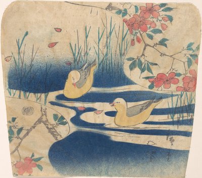 Hooded Gulls and Cherry Blossoms, probably 1850-62 by Ando Hiroshige