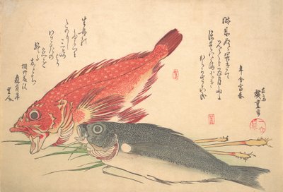 Isaki and Kasago Fish, from the series Uozukushi Every Variety of Fish by Ando Hiroshige