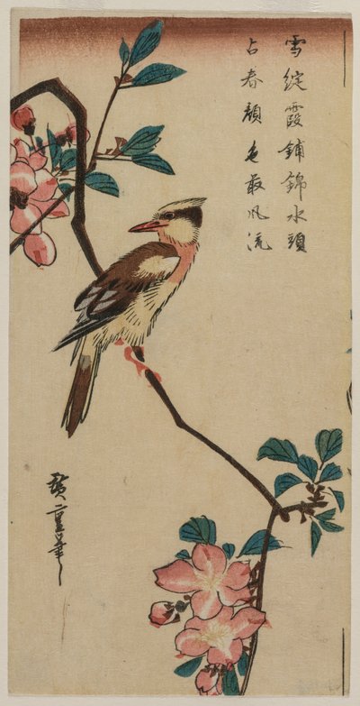 Korean Nightingale on Cherry Branch by Ando Hiroshige