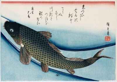 Carp, from the series Collection of Fish by Ando or Utagawa Hiroshige