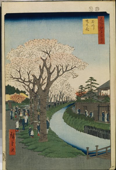 One Hundred Famous Views of Edo: Cherry Blossoms on the Banks of the Tama River by Ando or Utagawa Hiroshige