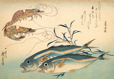 Japanese Horse Mackerel and Japanese Tiger Prawn by Ando or Utagawa Hiroshige
