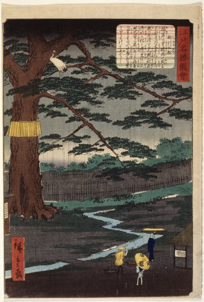 Miyuki Pine by Ando or Utagawa Hiroshige