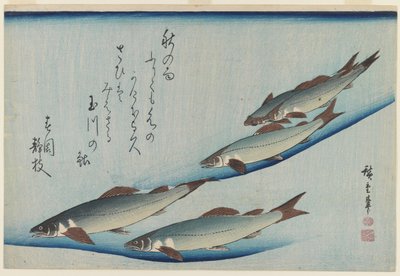 School of Five Sea Trout by Ando or Utagawa Hiroshige
