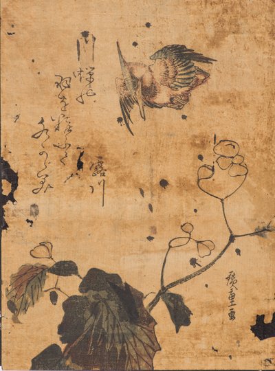 Study of Bird and Plant by Ando or Utagawa Hiroshige