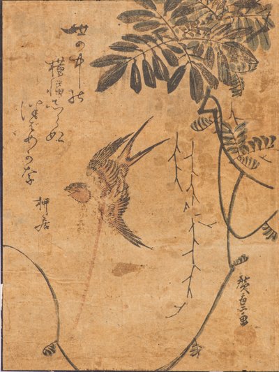 Study of bird in flight and plant by Ando or Utagawa Hiroshige
