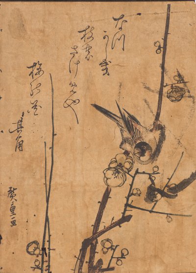Study of Bird Perched on Branch by Ando or Utagawa Hiroshige