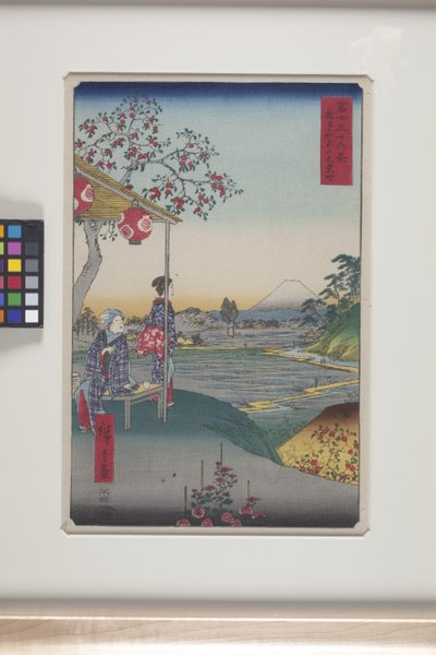 Teahouse With View Of Mt. Fuji In Zoshigaya (Zoshigaya Fujimi Chaya) by Ando or Utagawa Hiroshige