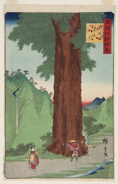 The Yatate Cedar Tree in Kai Province by Ando or Utagawa Hiroshige