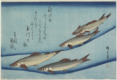 Trout by Ando or Utagawa Hiroshige